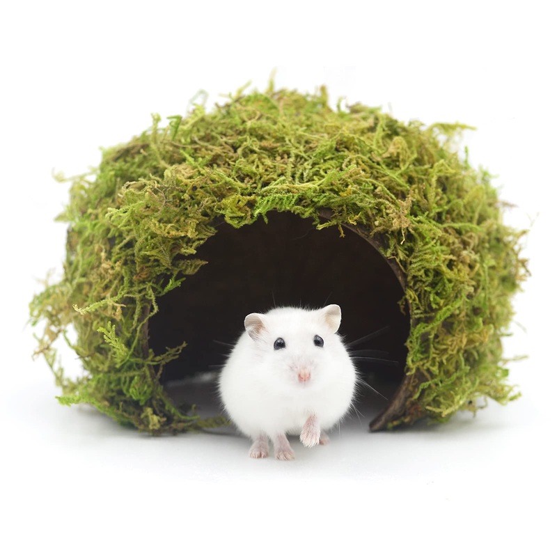 Hamster Hideaway,Mossy Cave Hide,Hamster House/Hides,Hamster Cage Accessories for Gguinea Pig/Hedgehogs/Gliders/Rats/Mice and Other Small Animals (Large) Large
