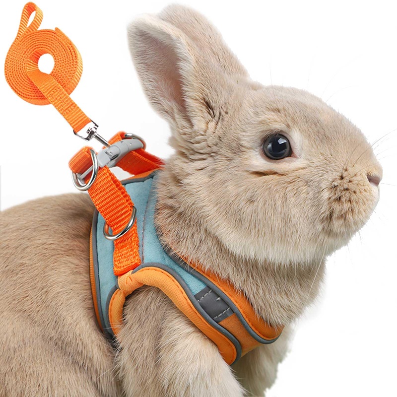Adjustable Bunny Harness and Leash Set Double Buckle with Reflective Strips Rabbit Vest Pets Stuff Suitable for Rabbit Walks Accessories (Orange Green, S) Orange green