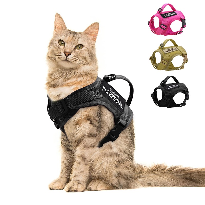 Forestpaw Cat Harness Escape Proof for Walking,Adjustable Large Cat Vest Harness with Soft Mesh Padded,Tactical Cat Harness with Control Handle,Molle Patches,Black Chest 12-17″,Neck 8.0-12.5″ Black