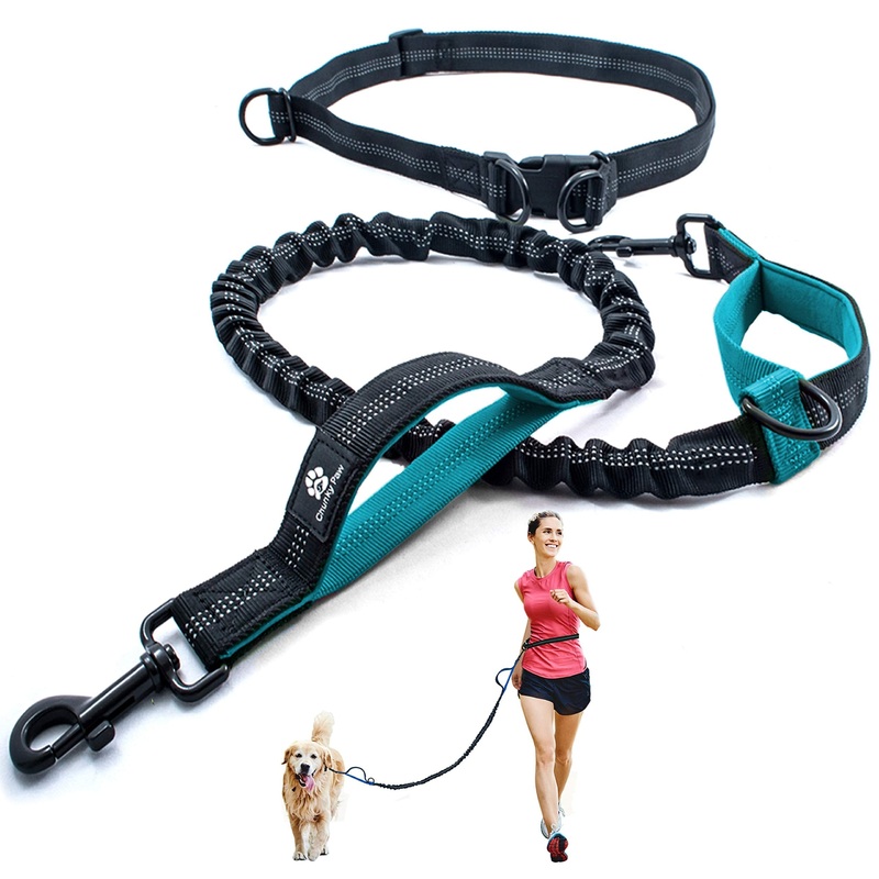 Hands Free Dog Leash for Medium and Large Dogs – Durable Dual Handle Waist Leash with Reflective Bungee for Running, Walking, Training, Hiking (Teal, for 1 Dog) Teal
