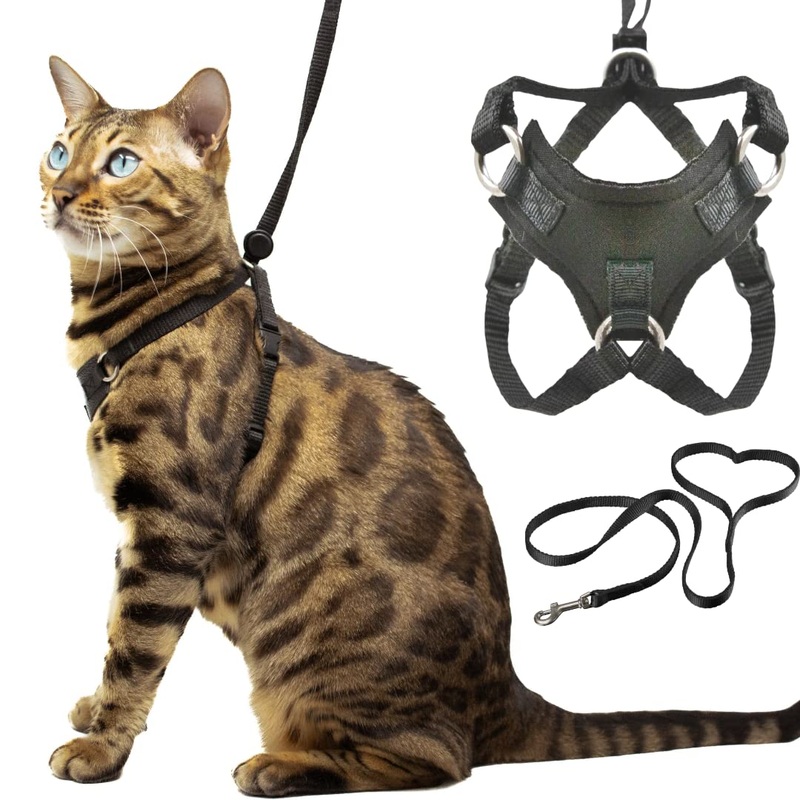 Houdini Escape Resistant Cat Harness and Leash Set by OutdoorBengal for Walking Cats (M) Medium Cat Soft Mesh
