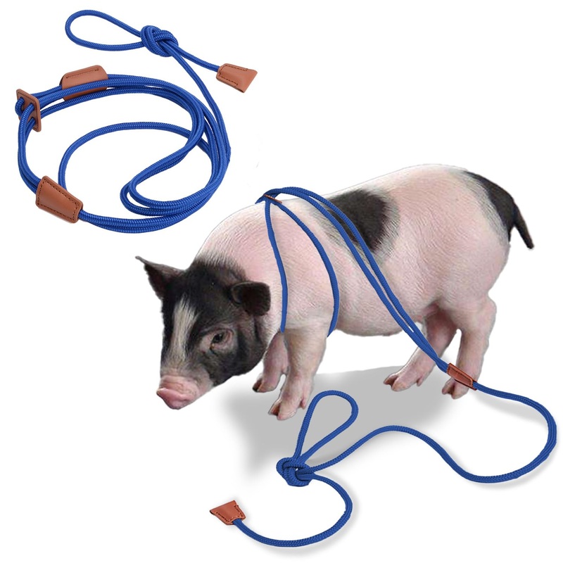 Mini Pig Harness and Leash, Adjustable Pig Harness Infinity Style Pig Supplies for Walking and Jogging Pets Also Fits Large, Medium and Small Piggy and Other Small Animals Blue
