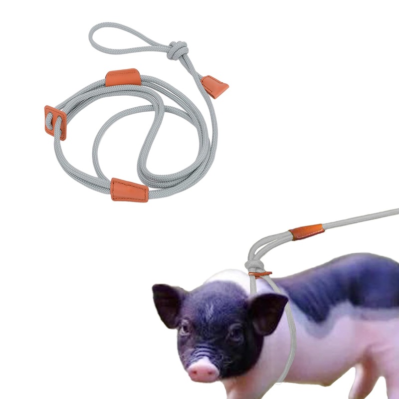 Mini Pig Harness & Leash Adjustable Pig Leash Step-in Pig Harness Suits for Small, Medium & Large Pig Supplies for Pet Pigs Walking and Training New Grey Grey new