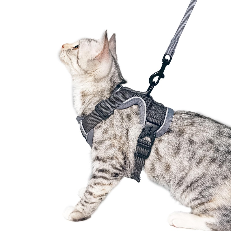 pangdi Cat Harness and Leash Set Escape Proof Tactical Large Kitten Harness Emotional Support Cat Vest, Grey, L 01 Grey