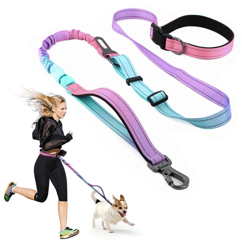 pawstrip Waist Leash for Dog Walking Hands Free Dog Leash Retractable Dog Running Bungee Leash Tactical Training Leash for Medium Large Dogs Adjustable Handless Dog Leash with Car Seat Belt Cyan