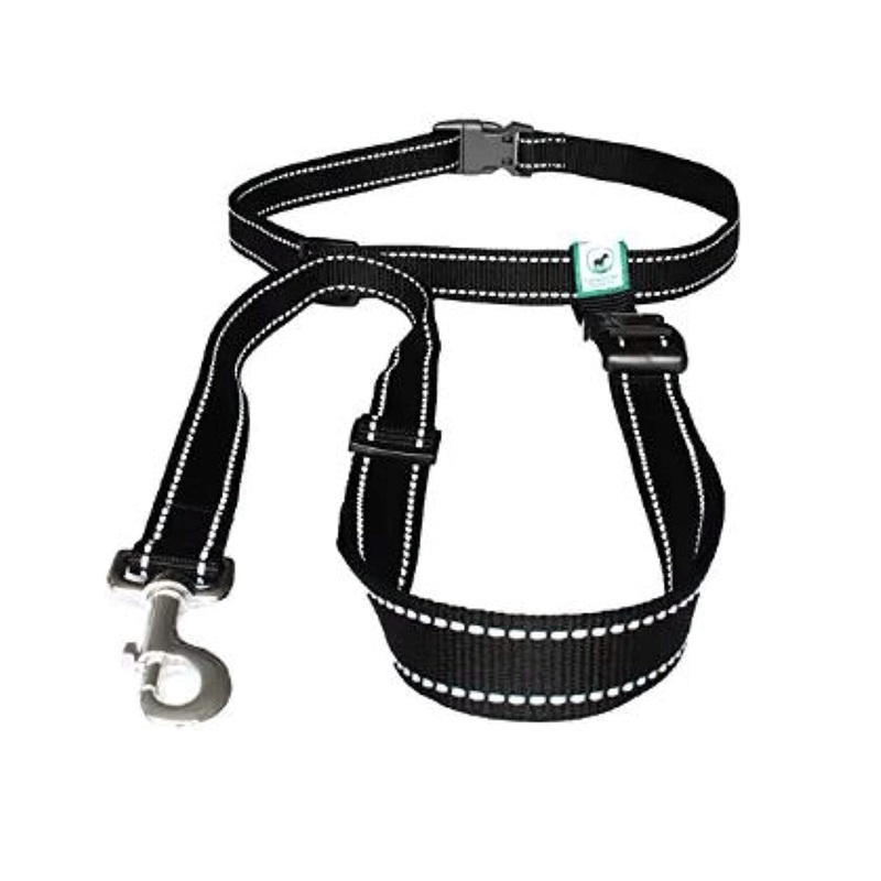Running Leash for Dogs – Hands Free Dog Leash for Training, Hiking & Walking – Non Bungee for More Control – Around The Waist Dog Leash Belt for Small Medium or Large Dogs