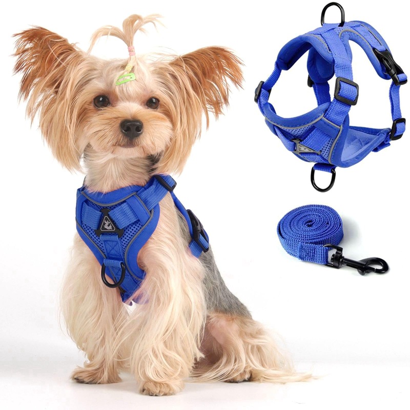 Vest Harness Leash Set for Small Dog Large Cat, Upgraded Escape Proof Adjustable Jacket with Lead for Puppy Fat Cat Outdoor Walking, Soft Breathable Mesh Coat with Reflective Strip XL Blue Klein Blue