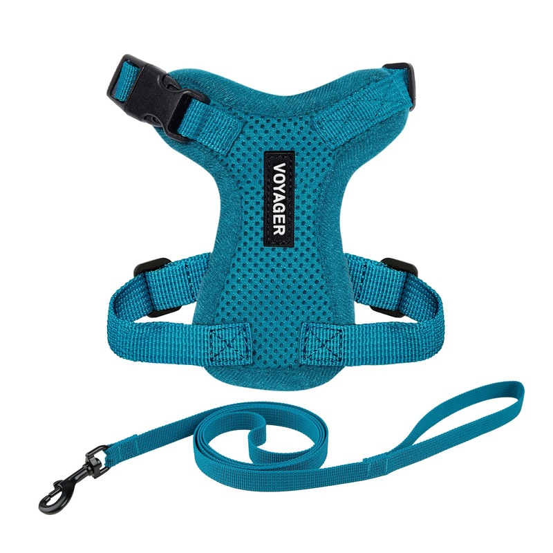 Voyager Step-in Lock Adjustable Cat Harness w. Cat Leash Combo Set with Neoprene Handle 5ft – Supports Small, Medium and Large Breed Cats by Best Pet Supplies – Turquoise, S Harness Leash Set (Turquoise) S (Chest: 15 – 18″ * Fit Cats)