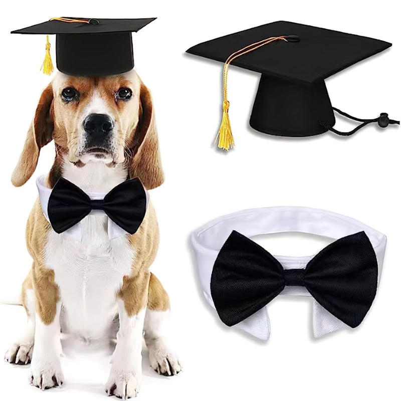 2 Pcs Graduation Pet Caps with Bow Tie Set Small Dog Cat Pet Black White Graduation Hat with Tassels and Bowtie Necktie Collar for Puppy Kitten Graduation Carnival Party Dress Costume Accessories