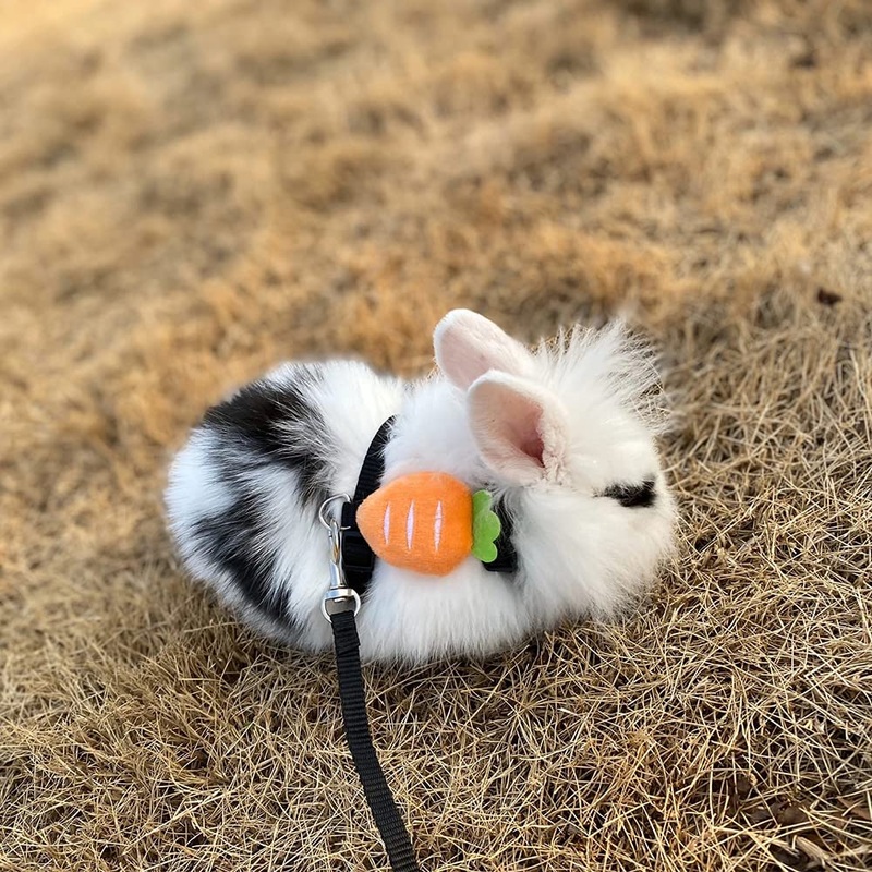 2Sets Rabbit Harness and Leash, SIUSHANE Adjustable Bunny Harness Leash Vest for Safety Walking Running, Small Pet Cute Soft Harness Leash Fit Rabbit Guinea Pig Kitten Ferrets’s Outdoor Harness-S