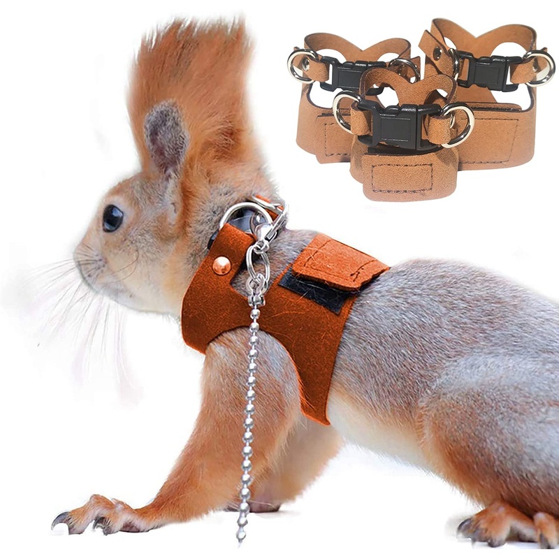 3 Pack Squirrel Harness and Leash Set – Adjustable Traction Rope Strap Anti-Biting Chain,Small Animal Training Walking Vest Leash for Squirrel Gerbil Chinchilla Rat (3 Pack (S/M/L),Brown) 3 Pack (S/M/L) Brown