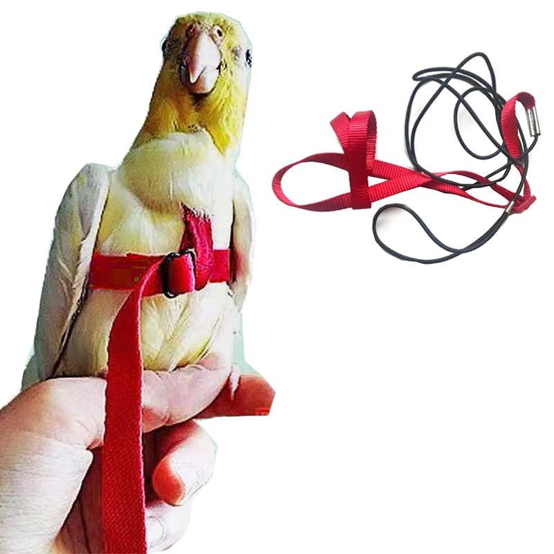 Adjustable Birds Harness and Leash Parrot Harness Leash Training Supplies Pet Anti-bite Outdoor Flying Rope for Conures Budgerigar Lovebird Cockatiel Mynah (S, Red) Small