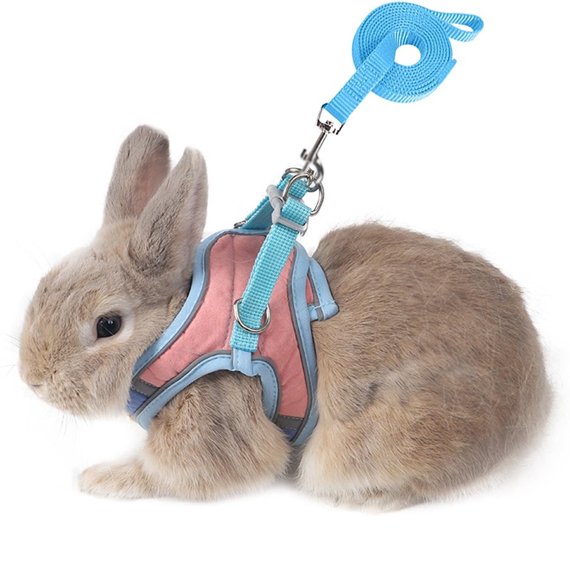Adjustable Bunny Harness and Leash Set Double Buckle with Reflective Strips Rabbit Vest Pets Stuff Suitable for Rabbit Walks Accessories (Powder Blue, S) powder blue