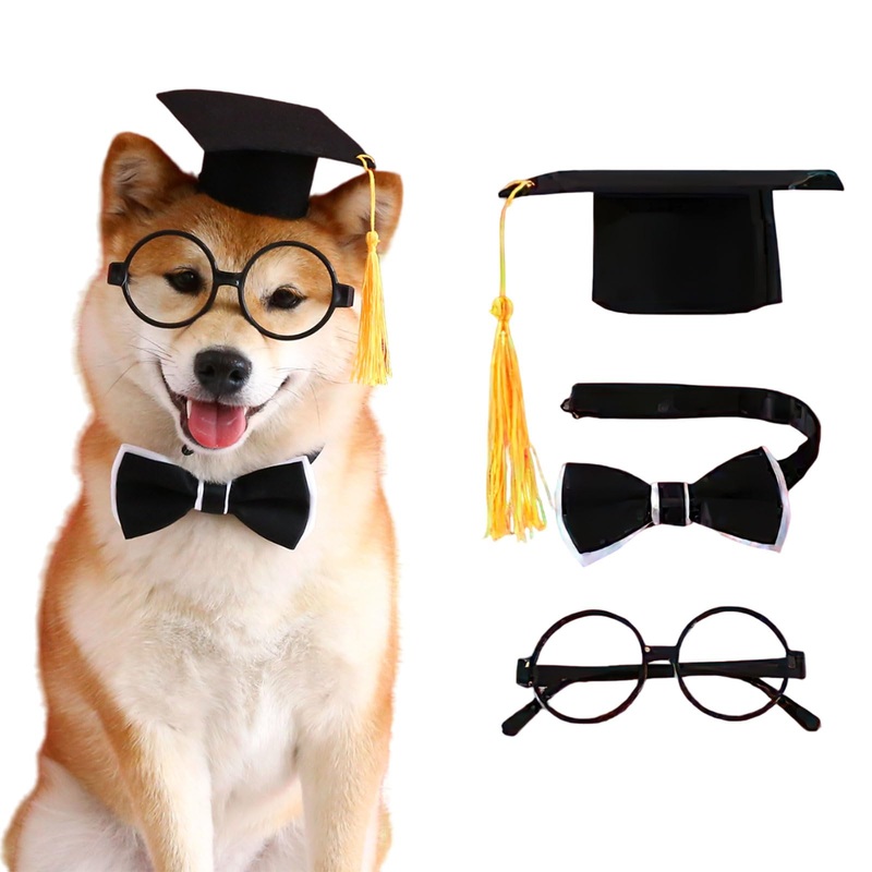 AUOCATTAIL 3 Pcs 2024 Pet Dog Graduation Cap Bow Eyeglasses Set for Small and Medium Pets Dogs Cats Decoration Accessories