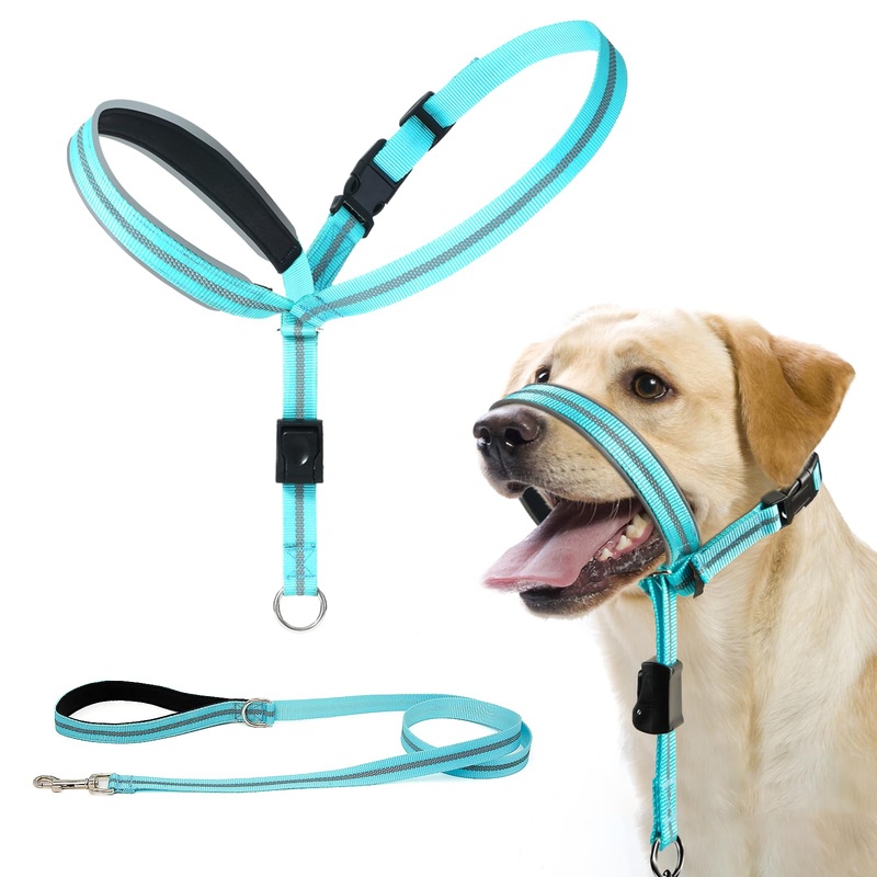 BARKLESS Dog Head Collar, Reflective Head Halter for Small Medium Large Dogs with Soft Padding, No Pull Dog Mouth Harness with Training Leash, Adjustable Muzzle Leash for Gentle Walking (Turquoise, M) M (Snout 9-12 ”) Turquoise
