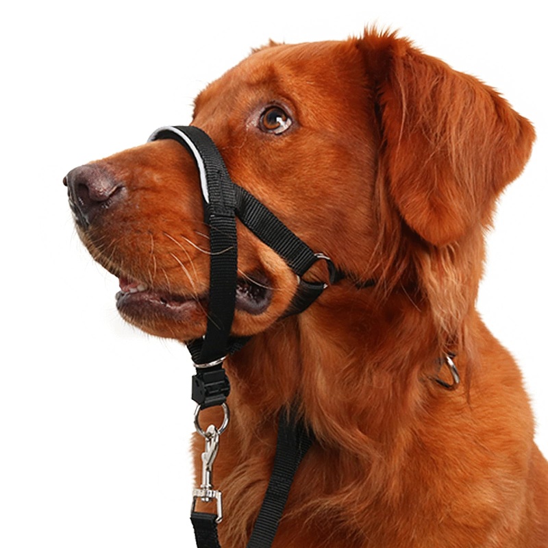 BARKLESS Head Collar for Dogs, No Pull Dog Nose Leash for Small Medium and Large Dogs, Dog Head Halter That Prevent Pulling for Easy Control on Walks (XL (Snout 10 -13″), Black) XL (Snout 10 -13″)