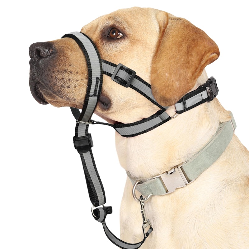 BARKLESS Reflective Head Collar, No Pull Collar for Large Dogs, Anti-pull Muzzle Leash for Large Sized Breed, Adjustable Soft Dog Halter, Nose Leash for Easy Control on Walks L (Snout: 9.5″-14″) Black