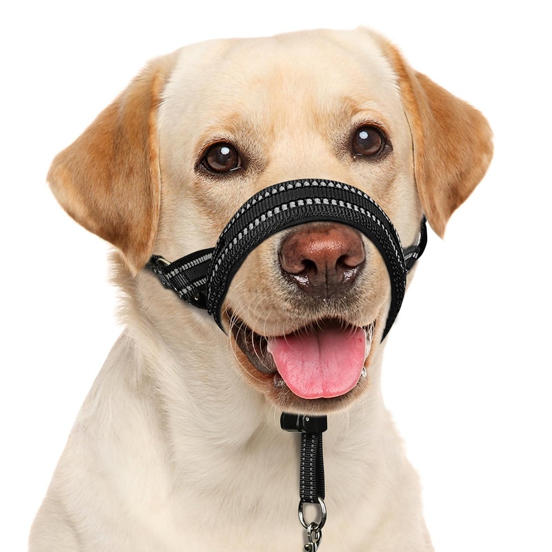 BARKLESS Soft Dog Head Collar, Padded No Pull Head Halter, Dog Training Nose Leash with Safety Link for Medium Large Dogs, Adjustable Muzzle Leash, Easy Control for Dog Walks(Black, L) Black L (Snout 9.5″-14″)