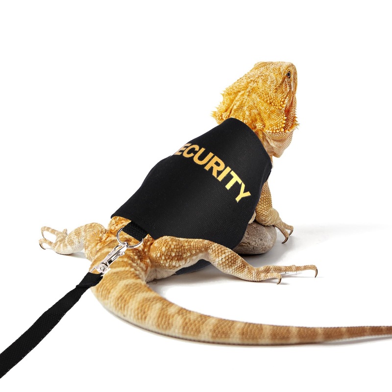 Bearded Dragon Leash and Harness Set, Adjustable Lizard Reptile Leashes Bearded Dragon Rope Accessories for Amphibians Chameleons Small Pet Animals Outdoor Safety Walking
