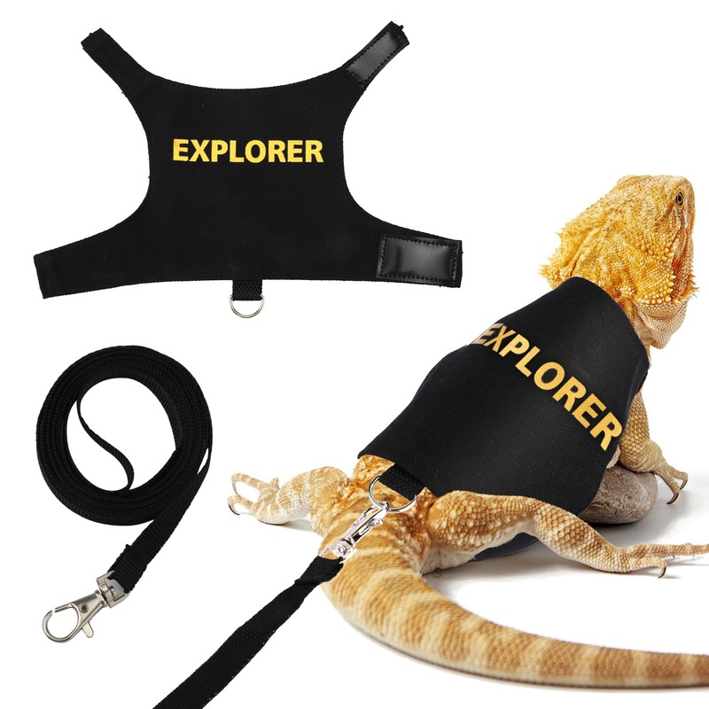 Bearded Dragon Leash and Harness Set, Escape Prevention Bearded Dragon Accessories Adjustable Lizard Reptiles Harness for Chameleon Small Pet Amphibian Outdoor Safe Walk