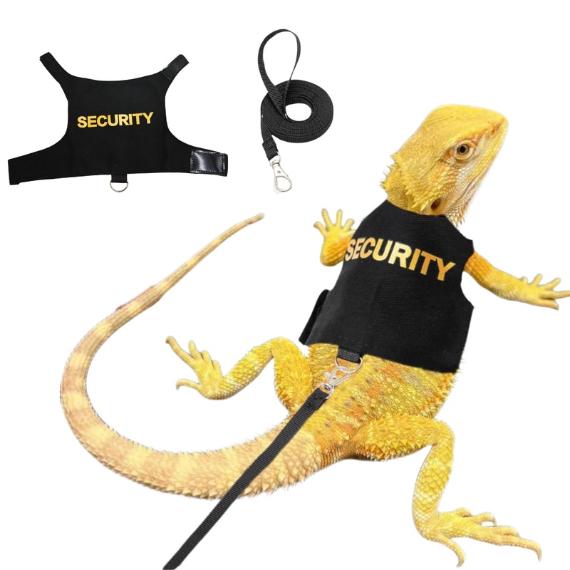 Bearded Dragon Lizards Clothes with Leash Set for Small Pets Reptiles Guinea Pig Apparel Lizards Outdoor Walking Training Harness Leash Hand-Made Security Costume Photo Prop black