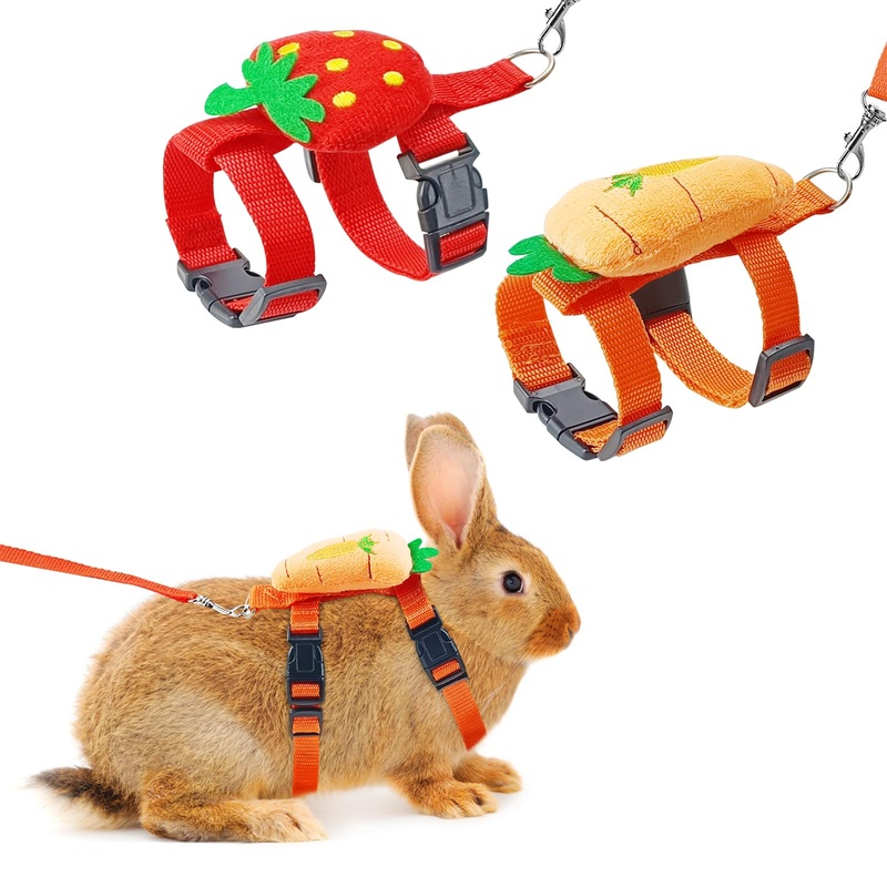 Bunny Harness and Leash for Rabbits,2 Pack Adjustable Bunny Harness,Cute Vest Harness and Leash Set, for Rabbit,Kitten, Puppy, Pig and Small Pet Animals Carrot, Strawberry Medium