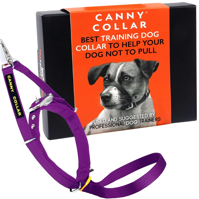 Canny Collar No-Pull Dog Collar – The Kind, Gentle Head Collar for Dogs| Dog Training Tool for Easier Dog Walking | Purple – Size 3 Size 3 – 13″-15″
