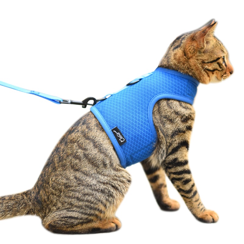 Cat Harness and Leash for Walking Escape Proof Breathable Mesh Fabric, Solid Blue, Medium, Adjustable Cat Walking Jackets, Padded Stylish Cat Vest M 5.5-9LBS Solid Blue Mesh