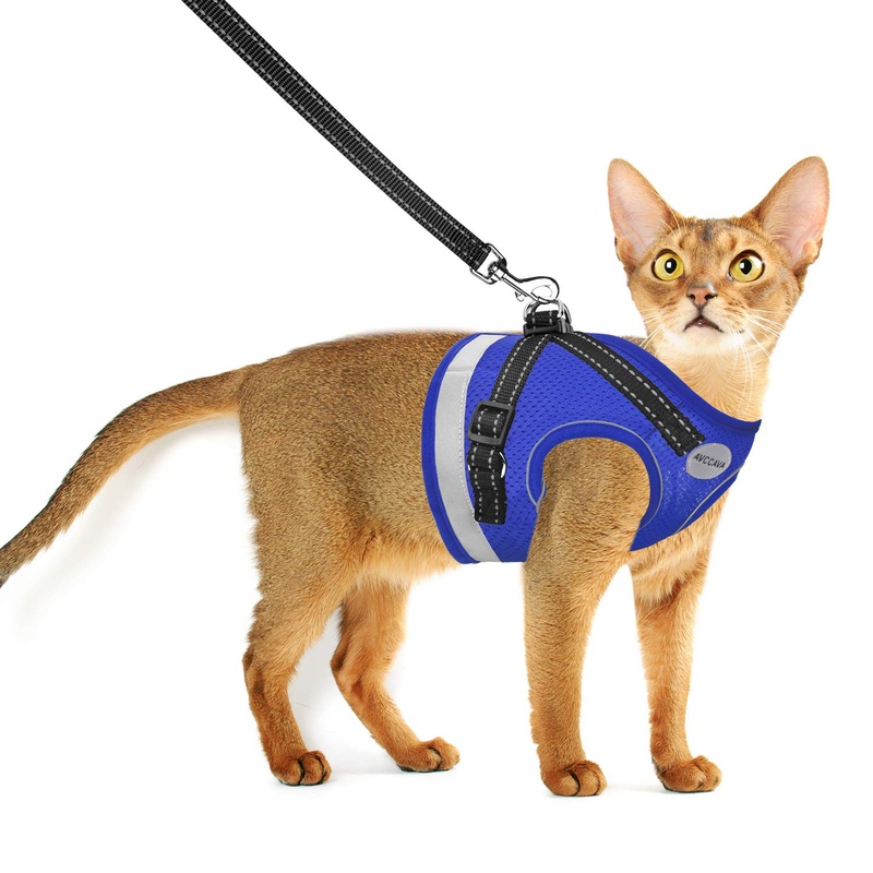 Cat Harness and Leash for Walking, Kitten Escape Proof Harnesses, Adjustable Reflective Puppy Harness with Leashes Set, Easy Adjustable Soft net Breathable Pet Safety Vest XS (Chest: 6″ – 8″) Blue