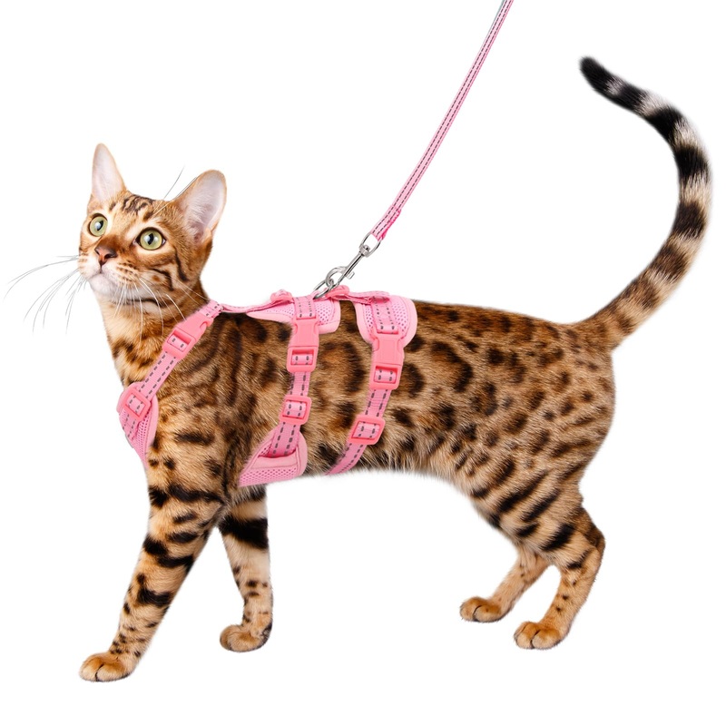 Cat Harness and Leash Set for Walking, Escape Proof Soft Vest Harness for Cats, Adjustable Reflective Kitten Harness for Small Medium Large Cats, Breathable Kitty Harness, Pink S S(Neck Girth 11in-13.25in)