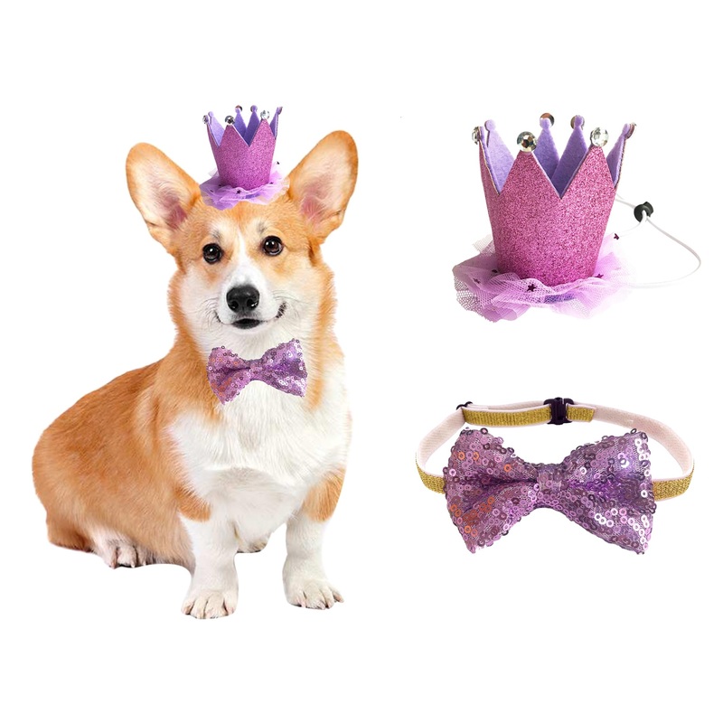 Dog Cat Birthday Hat Pet Party Crown Hat and Bow Tie Purple Breakaway Set Purple for Kitten Puppy