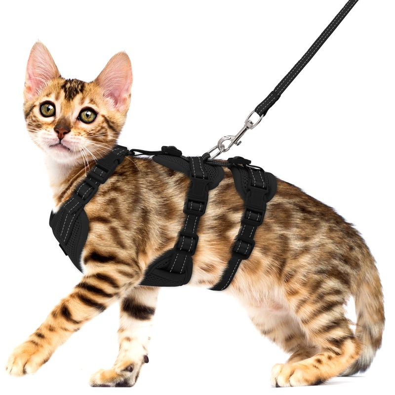 Fully Escape Proof Cat Harness and Leash Set for Walking, Adjustable Soft Kitten Vest with Reflective Strip for Small Medium Large Adult Cats, Breathable Kitty Harness,Black S S(Neck Girth 11in-13.25in) Black