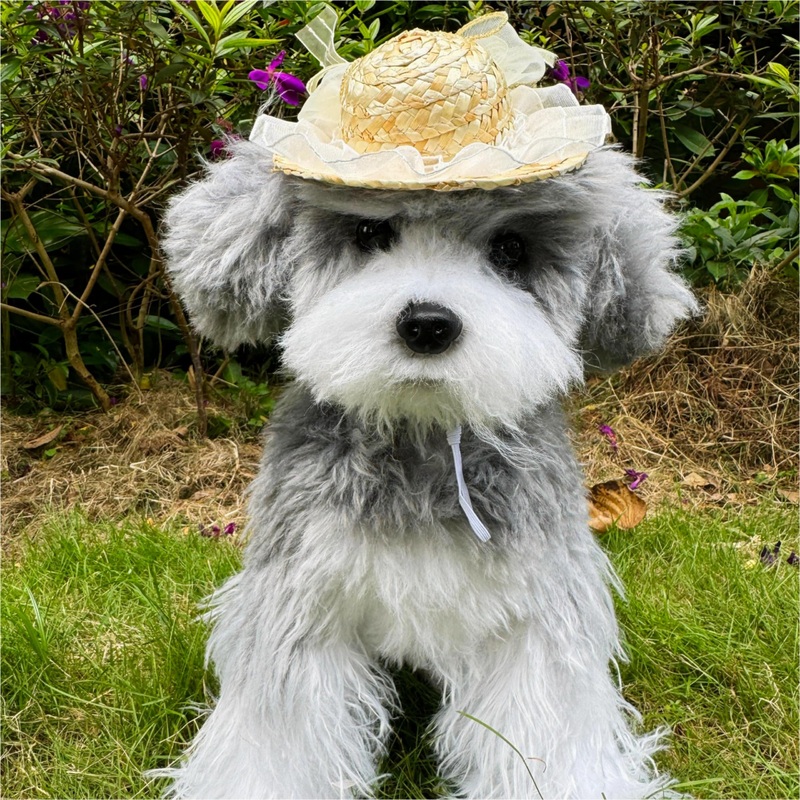 Handmade Pet Straw Hat,Fairy Bow Dog Hat,Funny Sombrero Cap for Party Decorations,Cute Cat Outfit for Cats and Small Dogs,Cat Birthday Gifts for Party,Photo Prop Fairy Bow