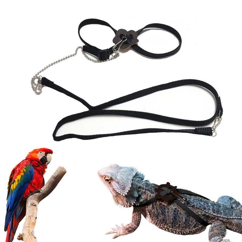 Lizard Leash Bearded Dragon Harness Adjustable Reptile Lizard Harness Leash Parrot Harness Turtle Lizard, Suitable for Gecko Hamster Kitten Small Animal Outdoor Walking – Black