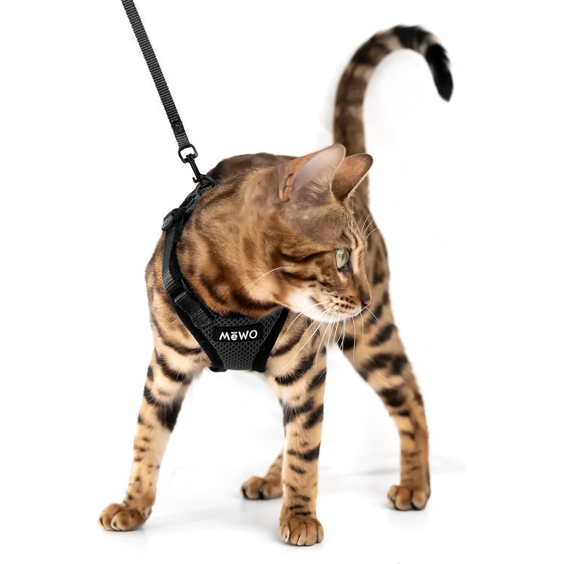 MeWO Cat Harness and Leash Set – Escape Proof, Reflective, Adjustable for a Safe & Snug Fit, Cat Walking Harness and Leash Cat Leash and Harness Set Cat Leashes and Harnesses for Walking Cat Harnesses Medium Black