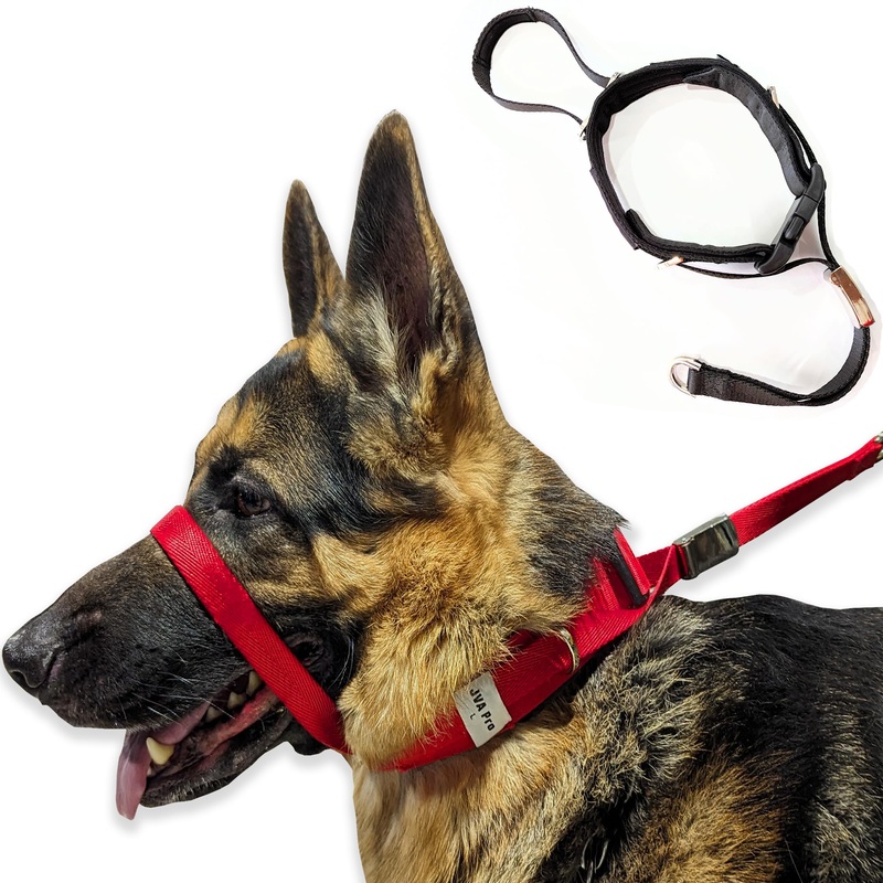 PetsProMax – Dog Headcollar for Pulling and Reactive Dogs; Behind Head Dog Leash Hook Lets You Walk Peacefully; Instantly Stops Your Dog Pulling. Dogs No-Pull Training HeadCollars. Red (M) Medium (M)