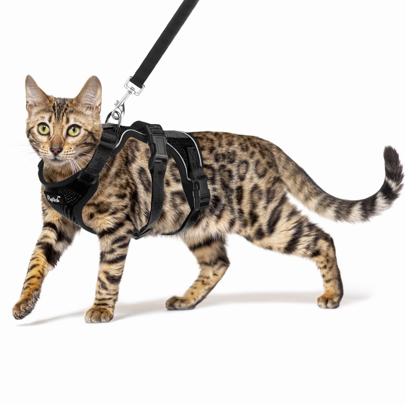 PUPTECK Cat Harness and Leash Set Escape Proof for Walking, Breathable Mash Vest Adjustable Harness for Cats Puppy Small Animals, Reflective at Night, Black Small S: Neck 9″-11.4″, Chest 11″-16.1″