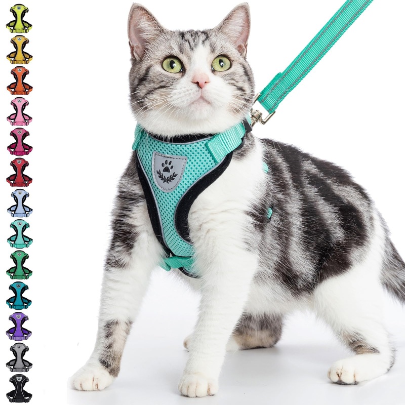 PUPTECK Cat Harness and Leash Set Escape Proof Reflective Cat Walking Harness Adjustable Soft Breathable Mesh Vest for Small Pets, Aquamarine, S S (NECK 9.5″-11″, CHEST 13″-16″)