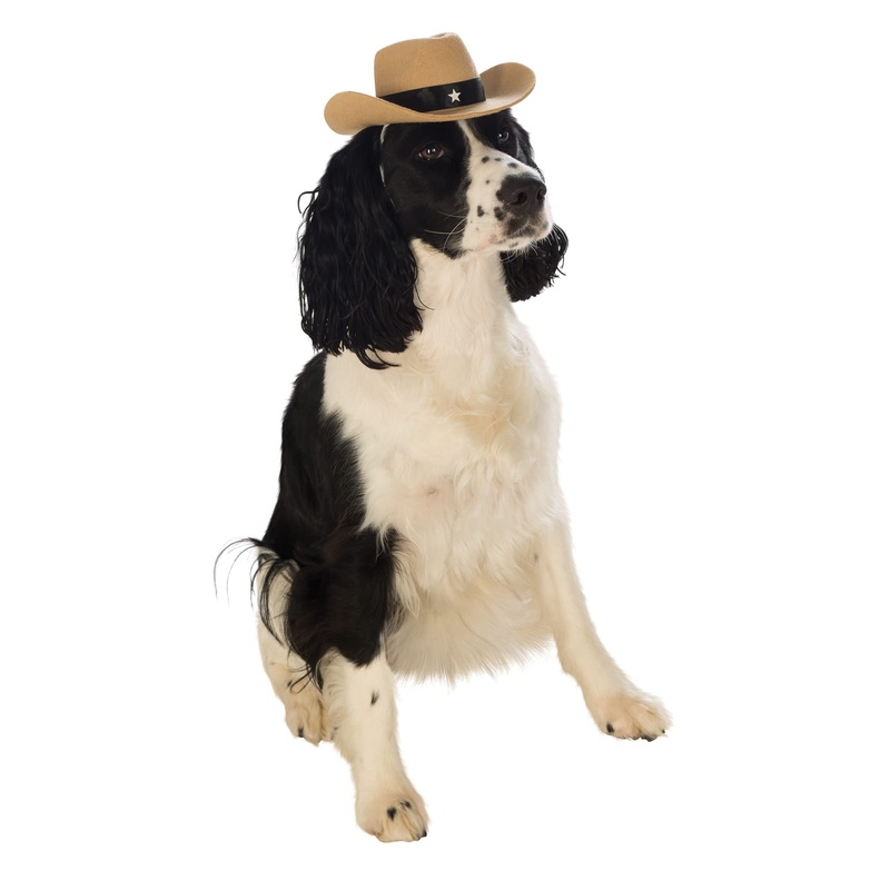 Rubie’s Brown Cowboy Hat for Pets, Small/Medium