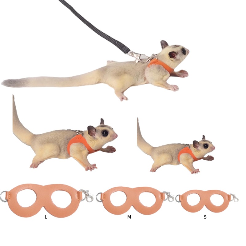 Sugar Gliders Harness Leash Set – 3 Pcs Training Walking Gear Small Animal Adjustable Traction Ropes Vest for Squirrels Hamsters Rats Gerbils Reptiles Bearded Dragon Lizards Orange 01 Orange