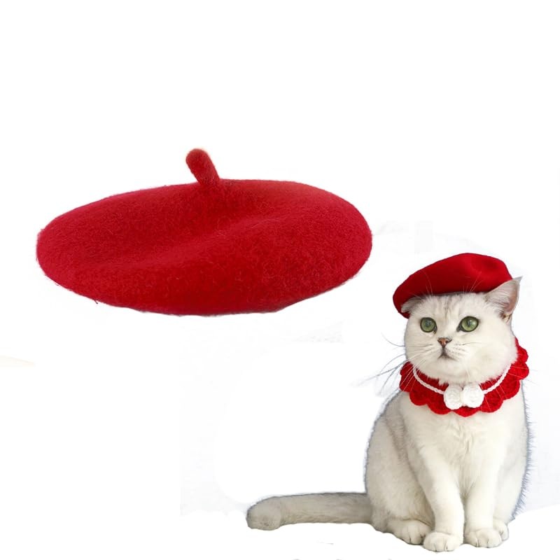 Wholesale Fashion Four Seasons Funny Customized Wool Pet Beret Hat with Accessories (red) red