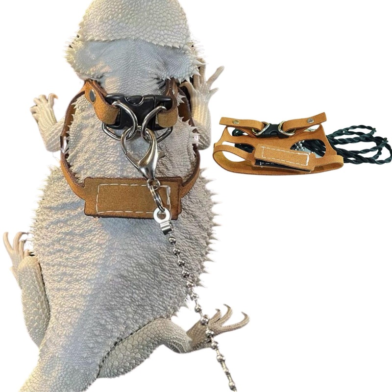 Bearded Dragon Harness and Leash Adjustable(M,L,XL) – Soft Leather Reptile Lizard Leash Accessories for Bearded Dragon, Lizard and Other Small Pets (XL) XL