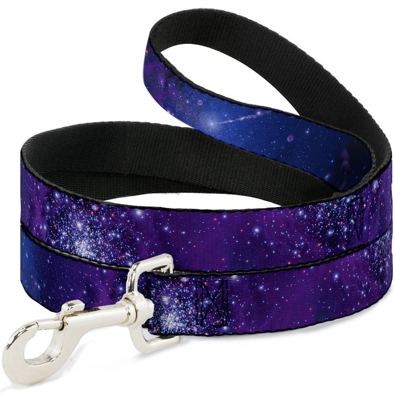 Buckle-Down Pet Leash – Galaxy Blues/Purples – 6 Feet Long – 1″ Wide