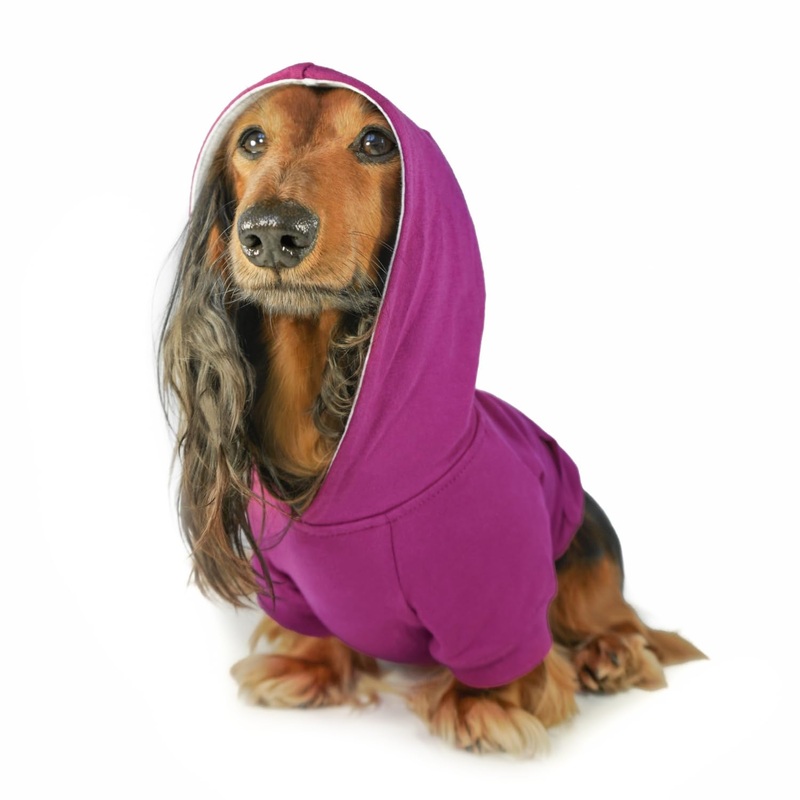 DJANGO Dog Hoodie and Super Soft and Stretchy Sweater  Fully Lined with Elastic Waistband, Leash Portal, and Back Pocket (Dark Fuchsia Purple, Small) Dark Fuchsia Purple