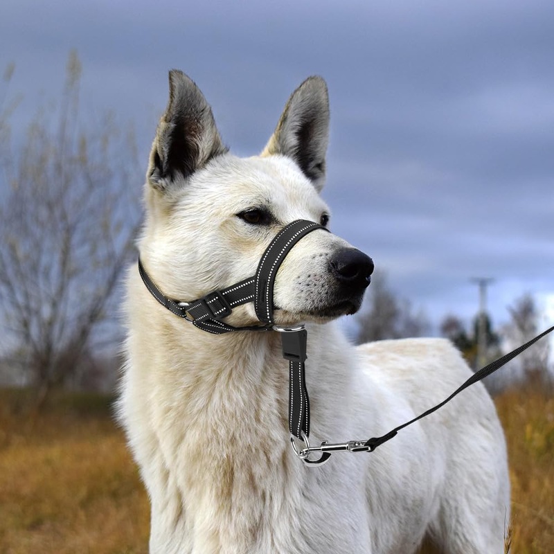Dog Head collar – Adjustable Dog Head Halter No Pull Dog Harness – Soft Padded Headcollar with Safety Reflective Strap – Effective Dog Training Tools for Easier Walks (Medium, Black) Medium (Snout 7.5″-14.2″)