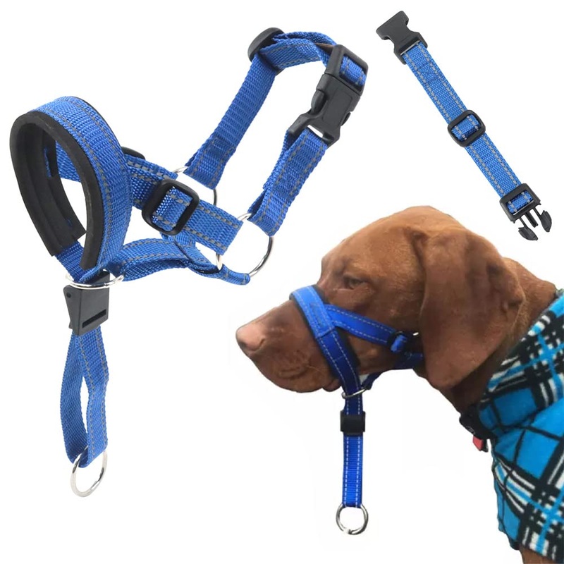 Dog Head Halter with Safety Strap – Headcollar – No-Pull Dog Collar  Perfect for Leash & Harness Training Medium and Large Dog Sizes (Size XL (Pack of 1), Blue)