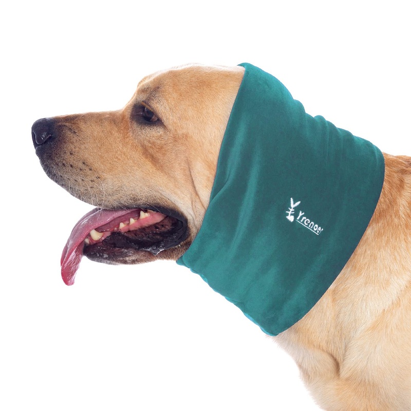 Dog Hoodie, Cyan, L, Polyester or Nylon, Breathable, for Anxiety Relief and Calming, Dog Apparel