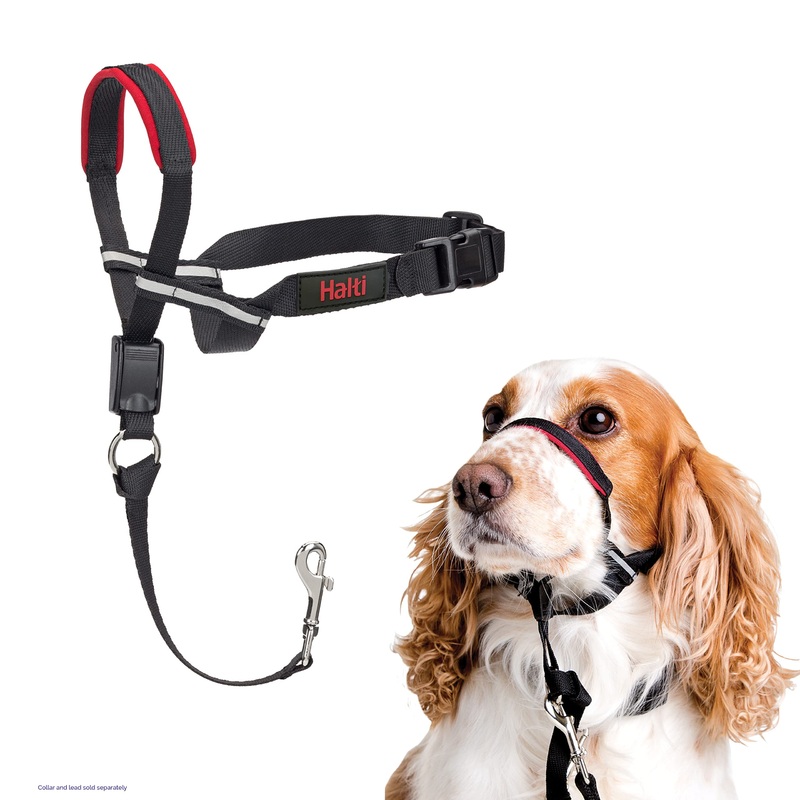HALTI Optifit Headcollar – To Stop Your Dog Pulling on the Leash. Adjustable, Reflective and Lightweight, with Padded Nose Band. Dog Training Anti-Pull Collar for Medium Dogs (Size Medium)
