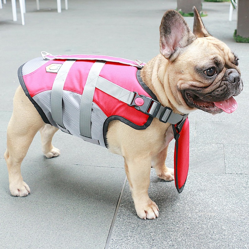 iChoue French Bulldog Life Jacket Vest Saver Swimming with Floating Plate Chin for Frenchie Pug English Boston Terrier (Red, Medium) Medium (Chest 24-28in, 20-30lbs) Red