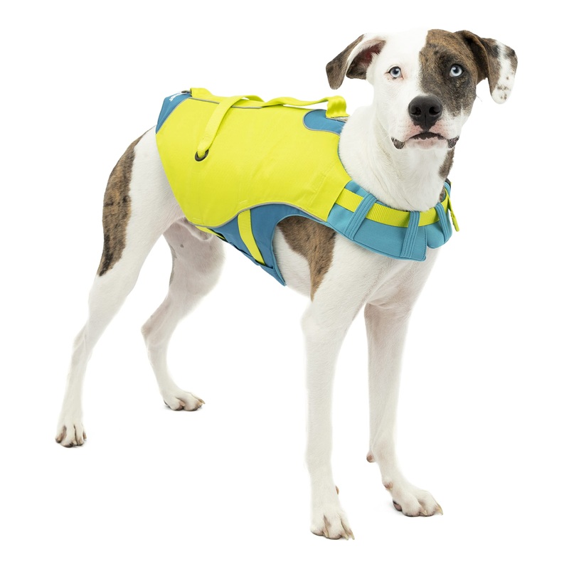 Kurgo Surf n Turf Dog Life Jacket, Dog Life Vest for Swimming, Floatation Vests for Dogs, Dog PFD, Reflective, Adjustable, for Small Medium Large Pets (Yellow/Blue, Medium) Blue-Green New Packaging